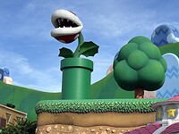 IMG_2870