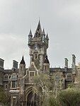 IMG_2942