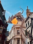 IMG_3193