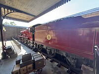 IMG_3192