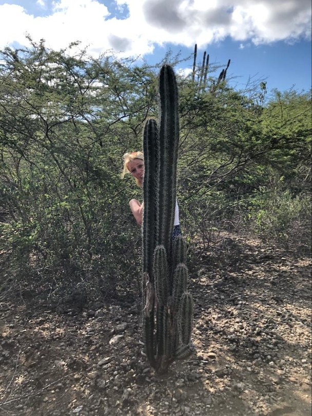Zo slank als een cactus