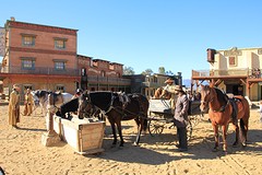IMG_5570
