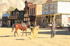 IMG_5628