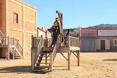 IMG_5631