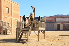 IMG_5635