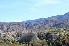 IMG_5661
