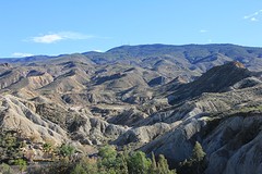 IMG_5785