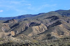 IMG_5800