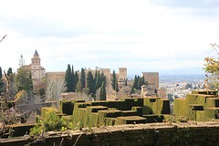 IMG_6378