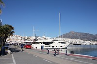 IMG_6470