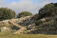 Mirador del Guarda Forestal