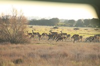 IMG_8566