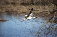 IMG_8280