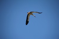 IMG_8291