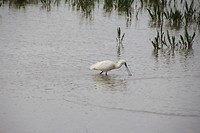 IMG_8693