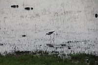 IMG_8757