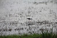 IMG_8764