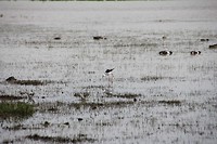 IMG_8778