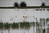 IMG_8683
