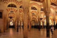 IMG_8886
