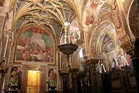 IMG_8917