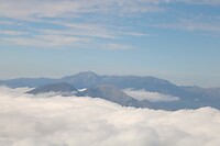 Landing ingezet