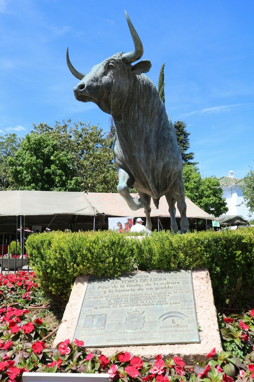 El torro