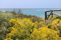 Mooi stranddoorkijkje 1