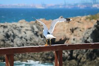 Ready for take off
