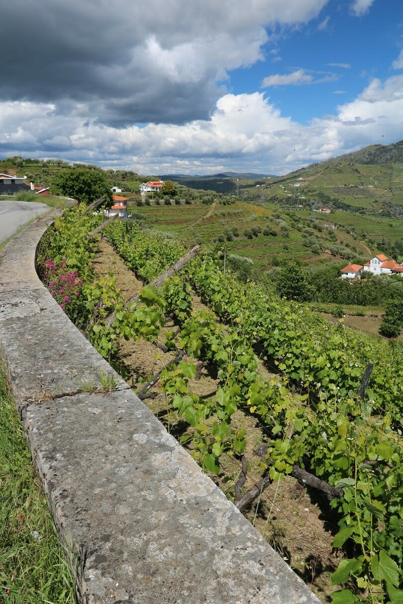 Dourovallei