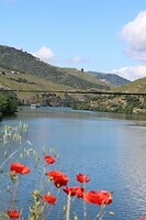 Zicht op Rio Douro