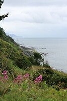 Flysch in de verte