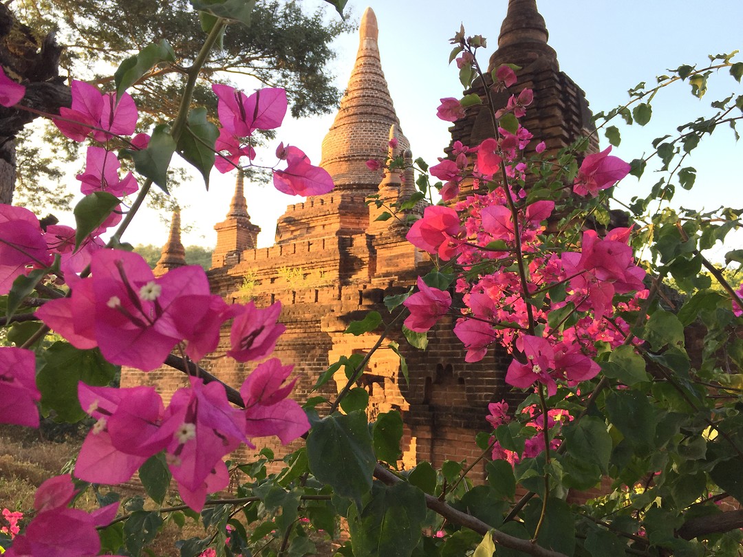 Bagan
