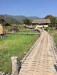 Bamboo bridge