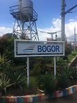 Naar Buitenzorg
