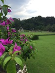 De botanisch tuin in Bogor/Buitenzorg