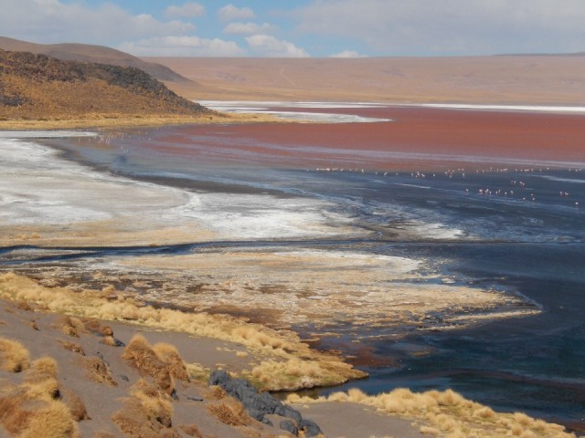 Laguna Colorado