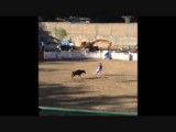 Gran Festival Taurino