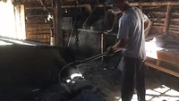 Het bakken van tortillas in de hete as