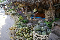 Fruit en kruiden langs de weg