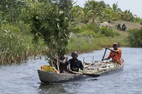 Pirogue met ‘zeil’ van takken