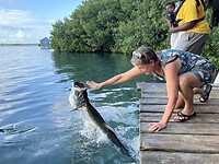 Yvonne voert een Tarpon
