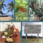Feliz año nuevo!