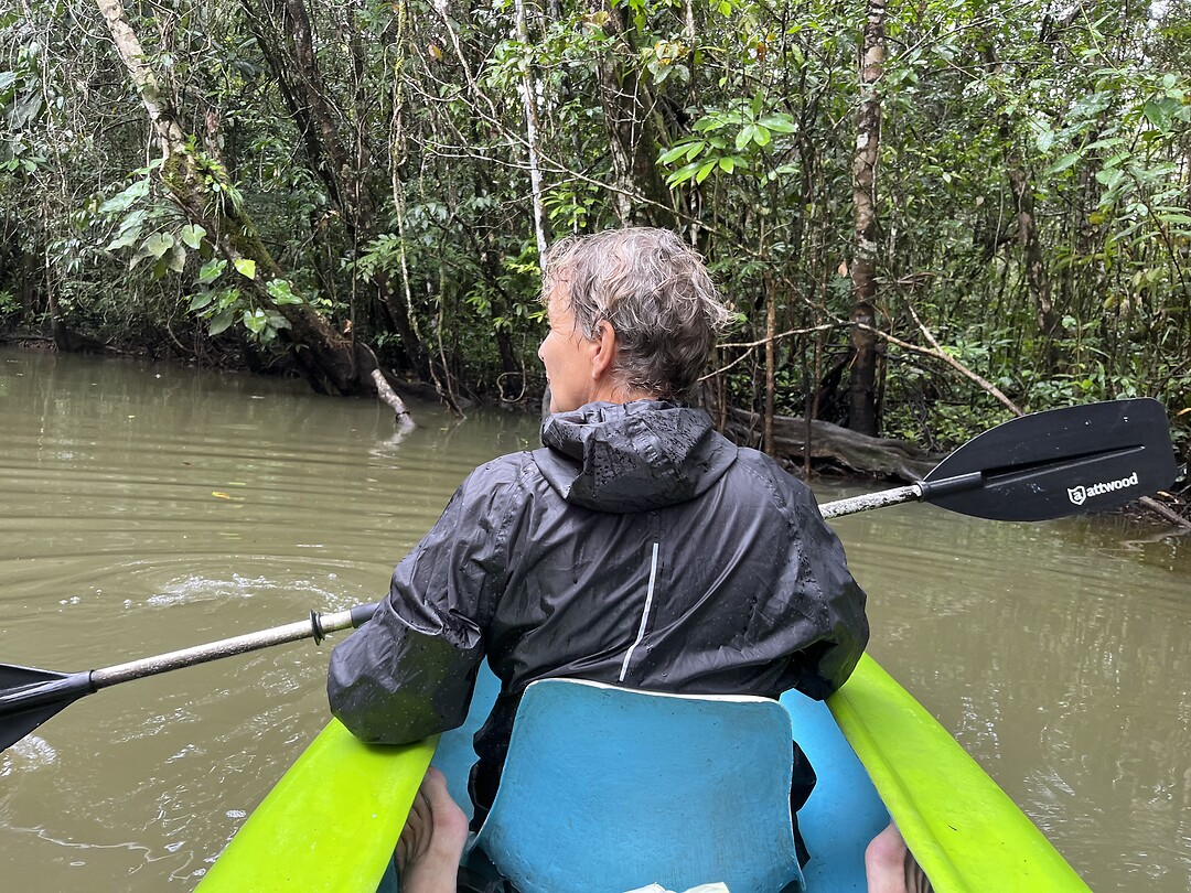 Kayak tussen mangrove