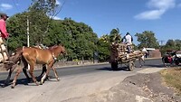 Paardenwagens in Nicaragua
