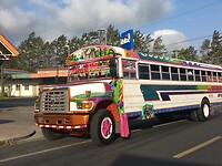 Panamese bus