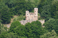 Kasteel langs de Neckar