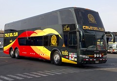 Bus van cruz del sur