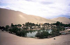 Oase in Huacachina