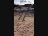 Video 15: de nesten van zeeschildpadden